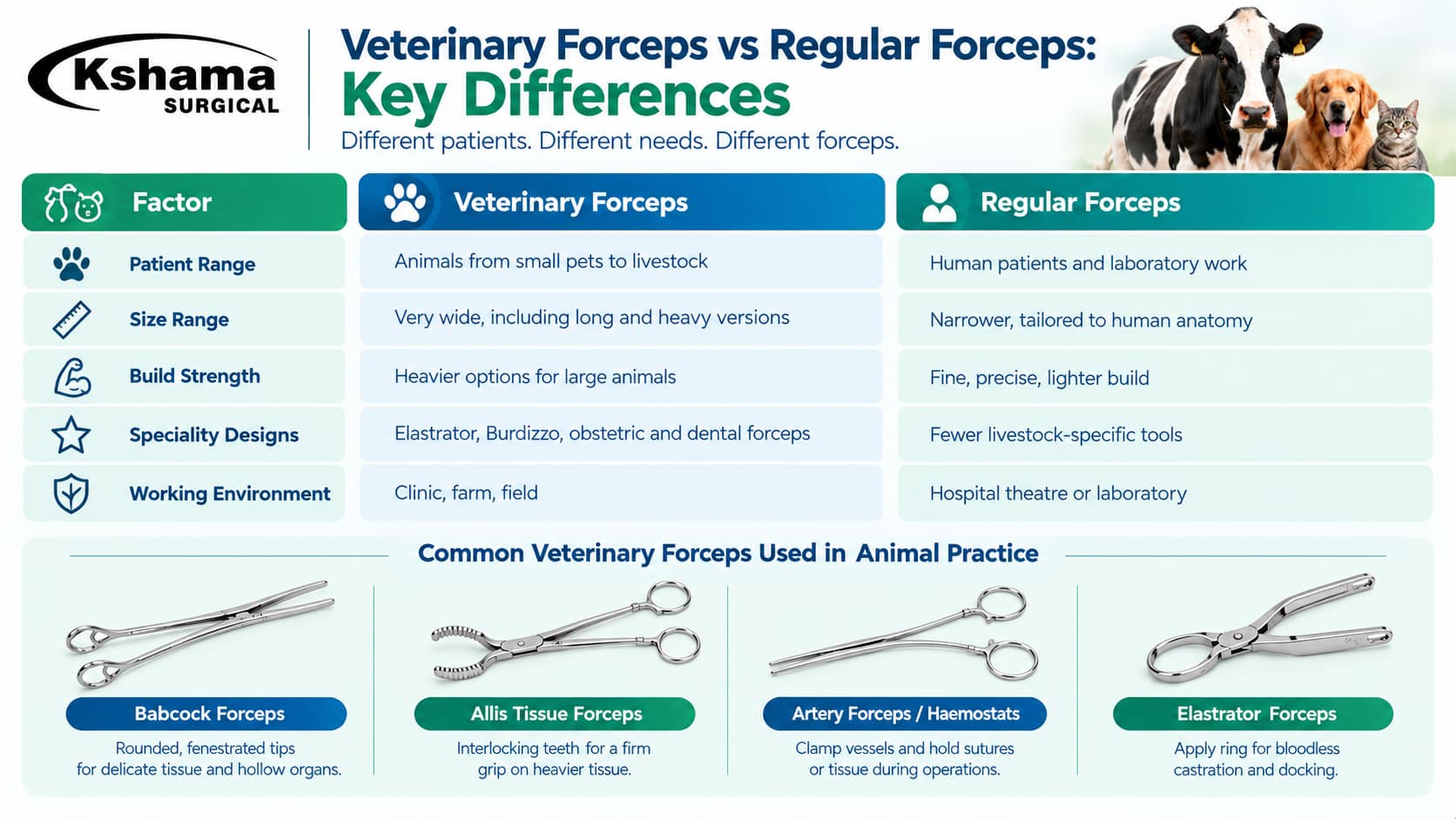 Veterinary forceps and regular forceps compared for animal surgical procedures