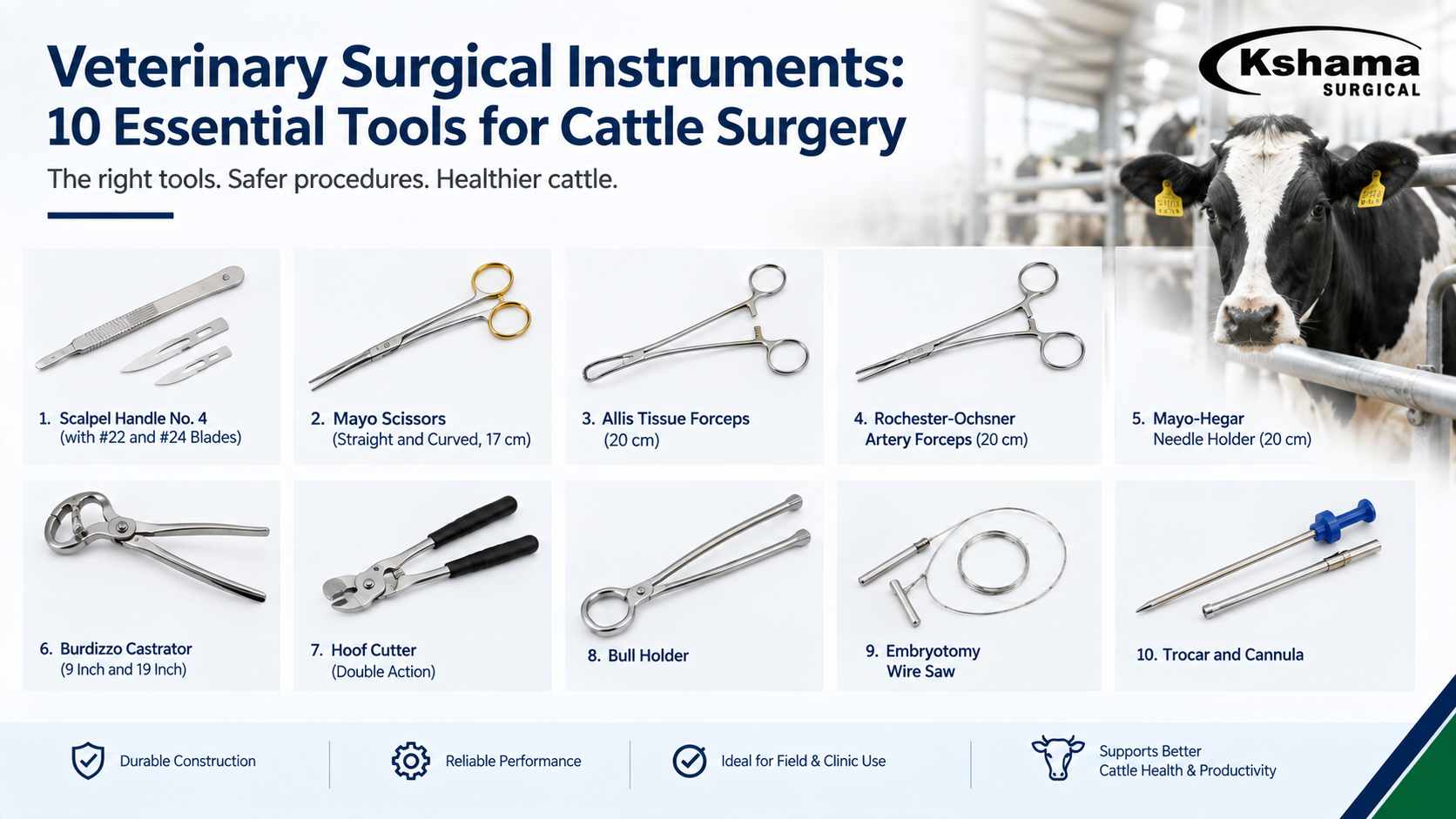 Set of stainless steel veterinary surgical instruments arranged on a tray for cattle surgery
