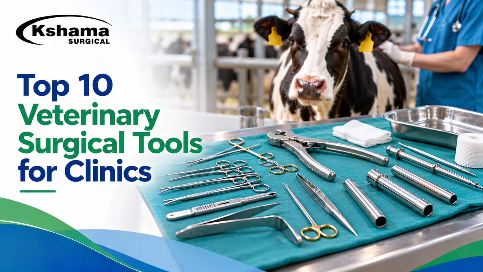 Set of stainless steel veterinary surgical instruments including scissors, forceps and needle holders arranged on a tray